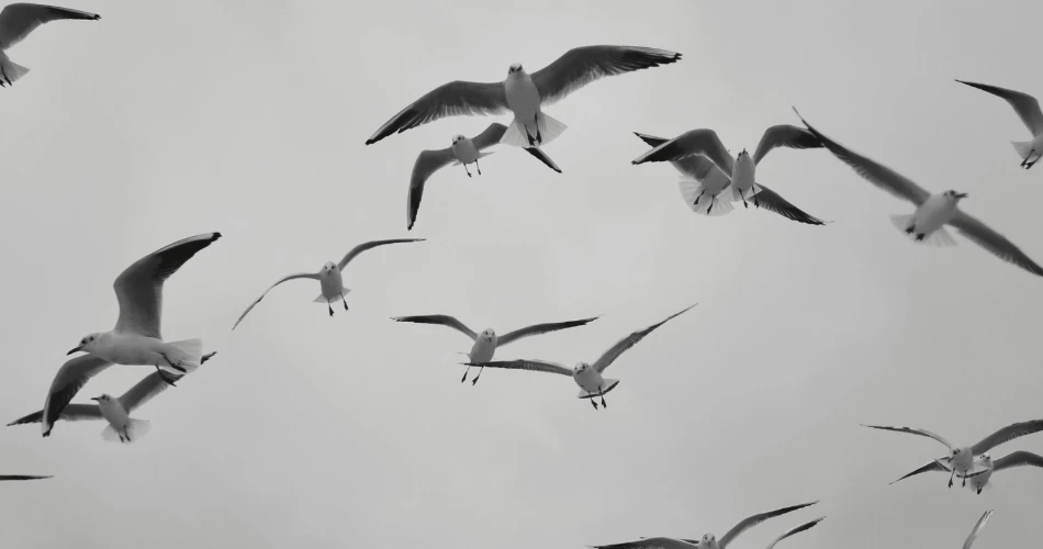 Hidden Gems of Bandra Fort: Explore Mumbai’s Colonial Heritage